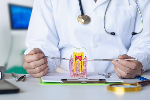 Best Weekend Emergency Dentist in Middlebranch, OH